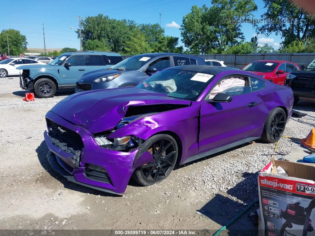 2016 Ford Mustang V6 Purple vin: 1FA6P8AM1G5266135