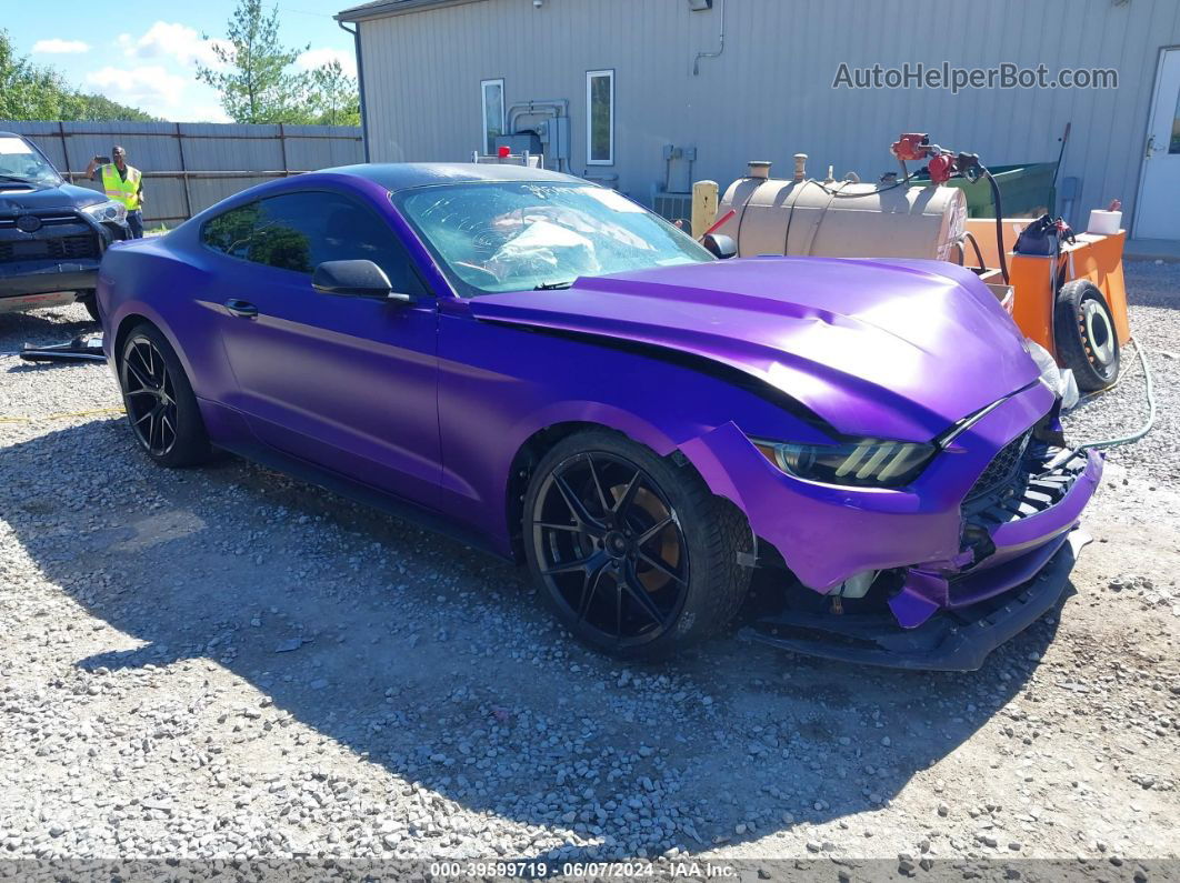 2016 Ford Mustang V6 Purple vin: 1FA6P8AM1G5266135