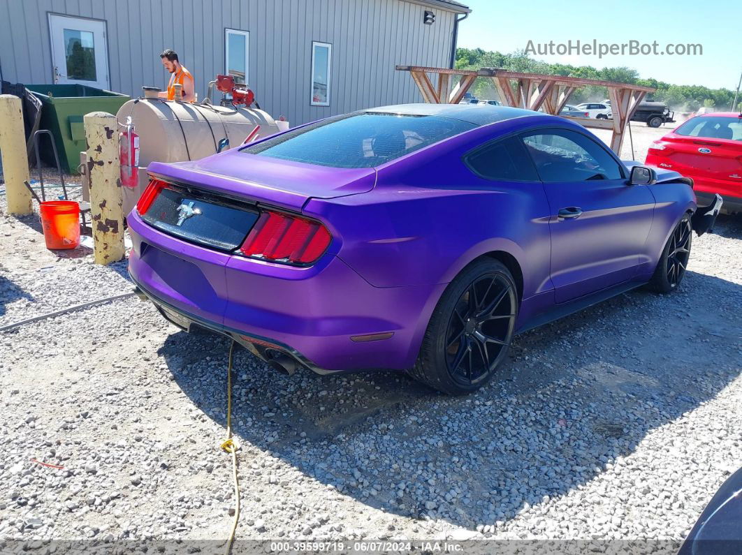 2016 Ford Mustang V6 Purple vin: 1FA6P8AM1G5266135