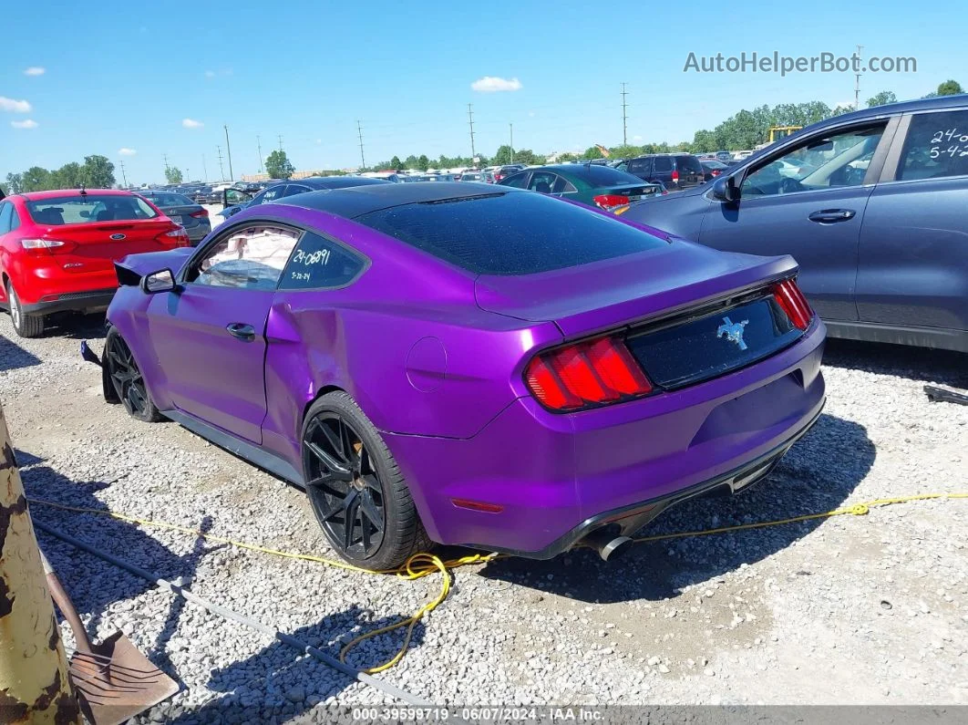 2016 Ford Mustang V6 Purple vin: 1FA6P8AM1G5266135