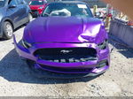 2016 Ford Mustang V6 Purple vin: 1FA6P8AM1G5266135