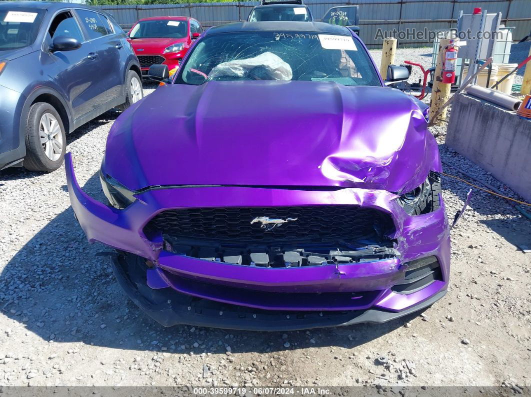 2016 Ford Mustang V6 Purple vin: 1FA6P8AM1G5266135