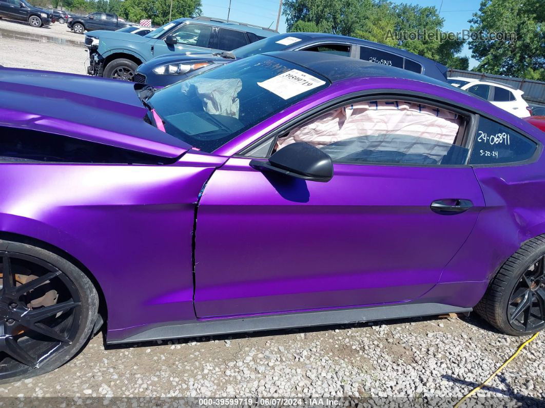 2016 Ford Mustang V6 Purple vin: 1FA6P8AM1G5266135