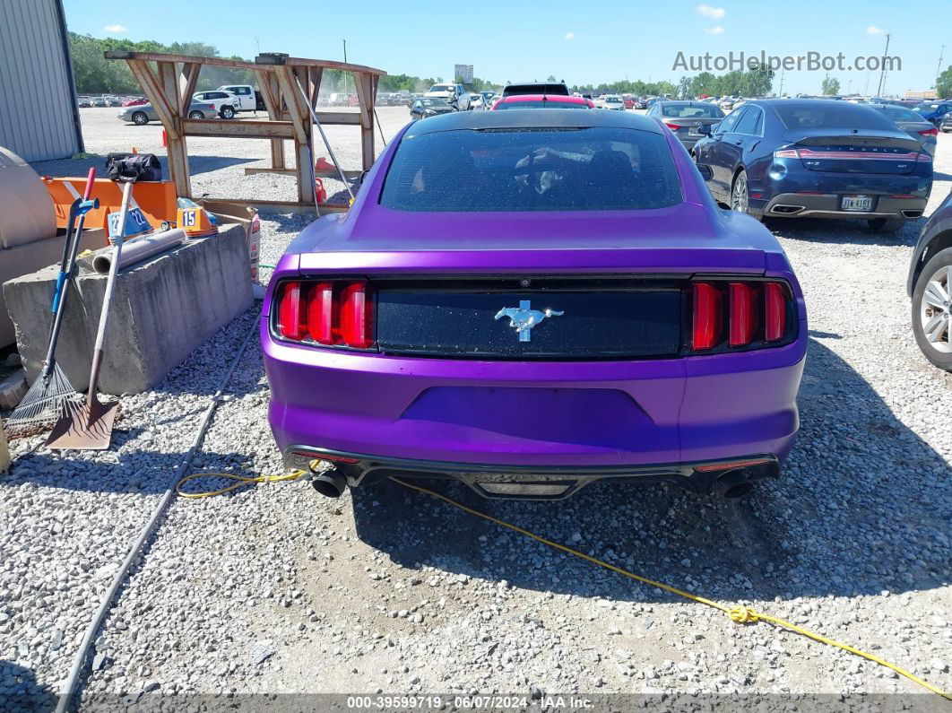 2016 Ford Mustang V6 Purple vin: 1FA6P8AM1G5266135