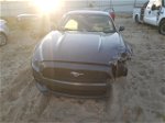 2016 Ford Mustang  Gray vin: 1FA6P8AM2G5210124