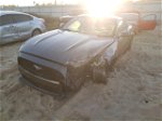 2016 Ford Mustang  Серый vin: 1FA6P8AM2G5210124