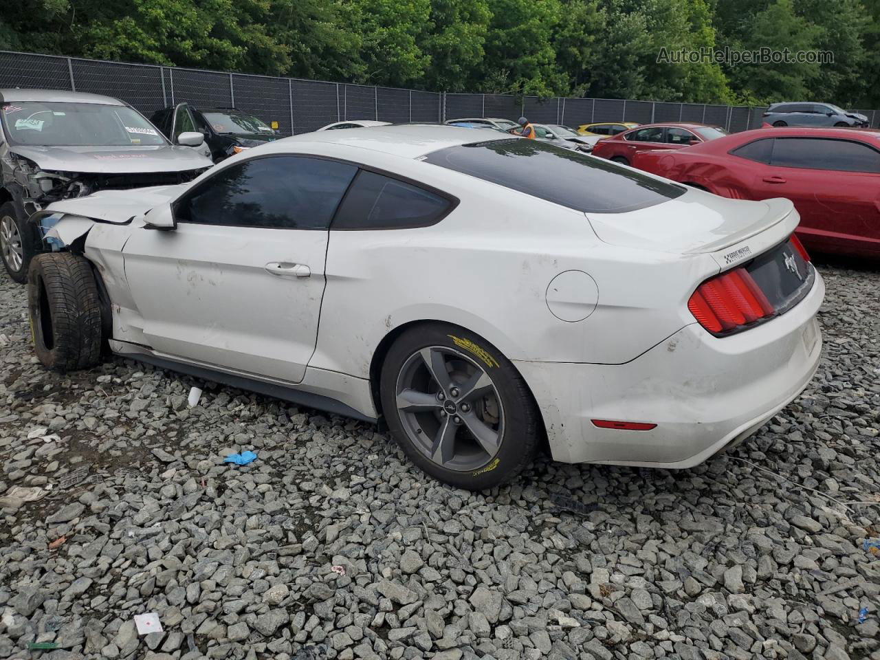 2015 Ford Mustang  Белый vin: 1FA6P8AM3F5306858