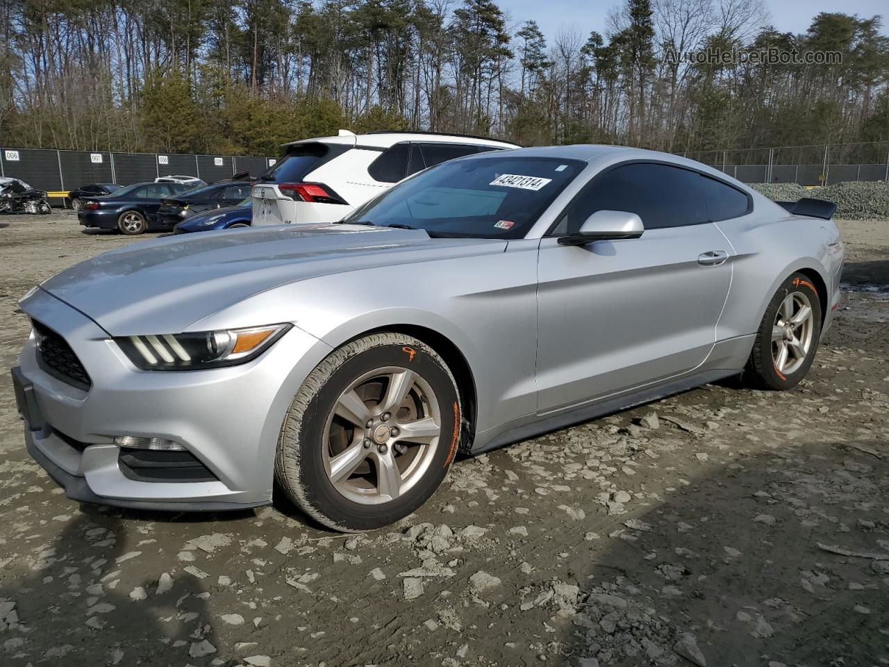 2015 Ford Mustang  Silver vin: 1FA6P8AM3F5358104