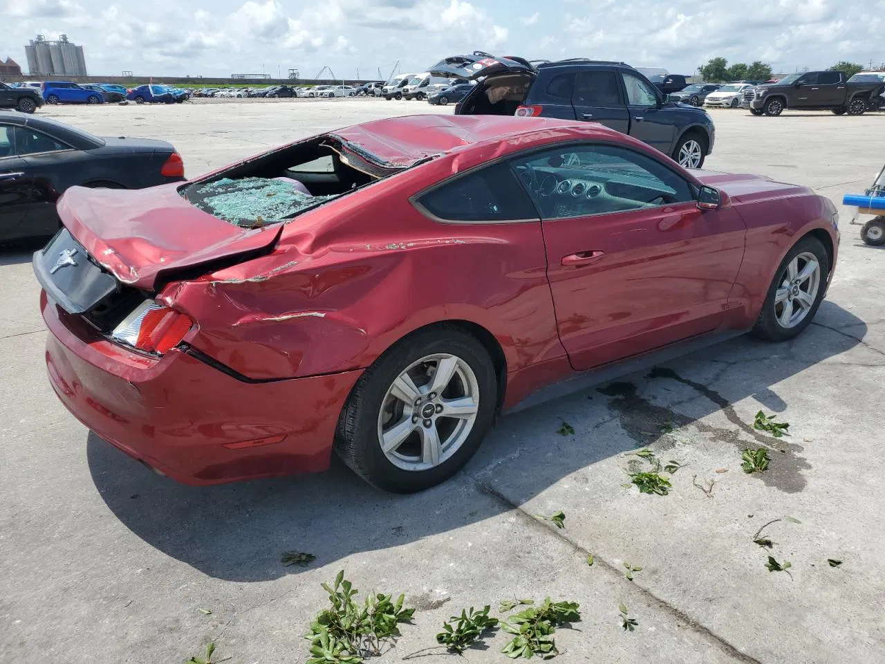 2015 Ford Mustang  Красный vin: 1FA6P8AM3F5399753