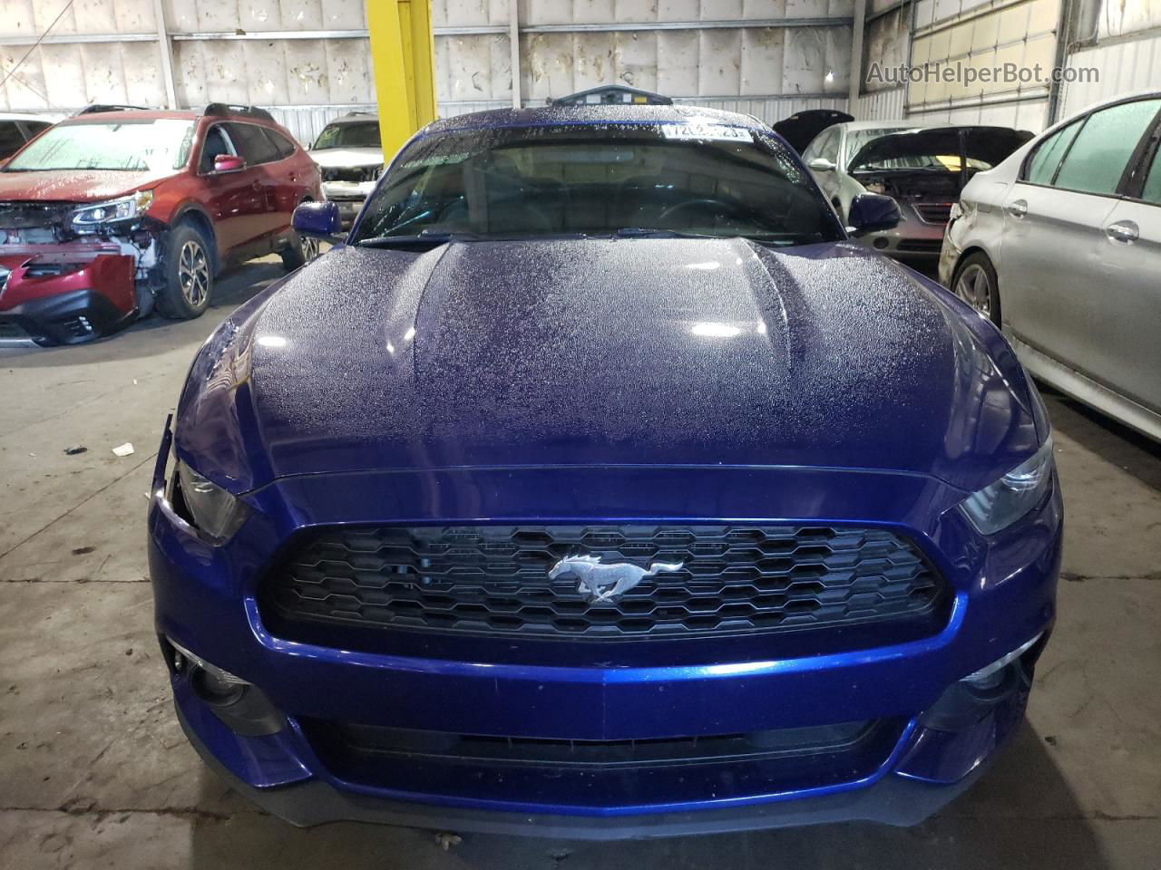 2015 Ford Mustang  Blue vin: 1FA6P8AM3F5431505