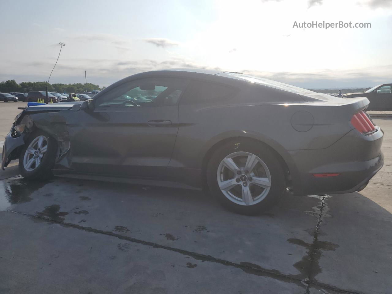 2016 Ford Mustang  Gray vin: 1FA6P8AM3G5215624