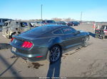 2015 Ford Mustang V6 Серый vin: 1FA6P8AM5F5425639