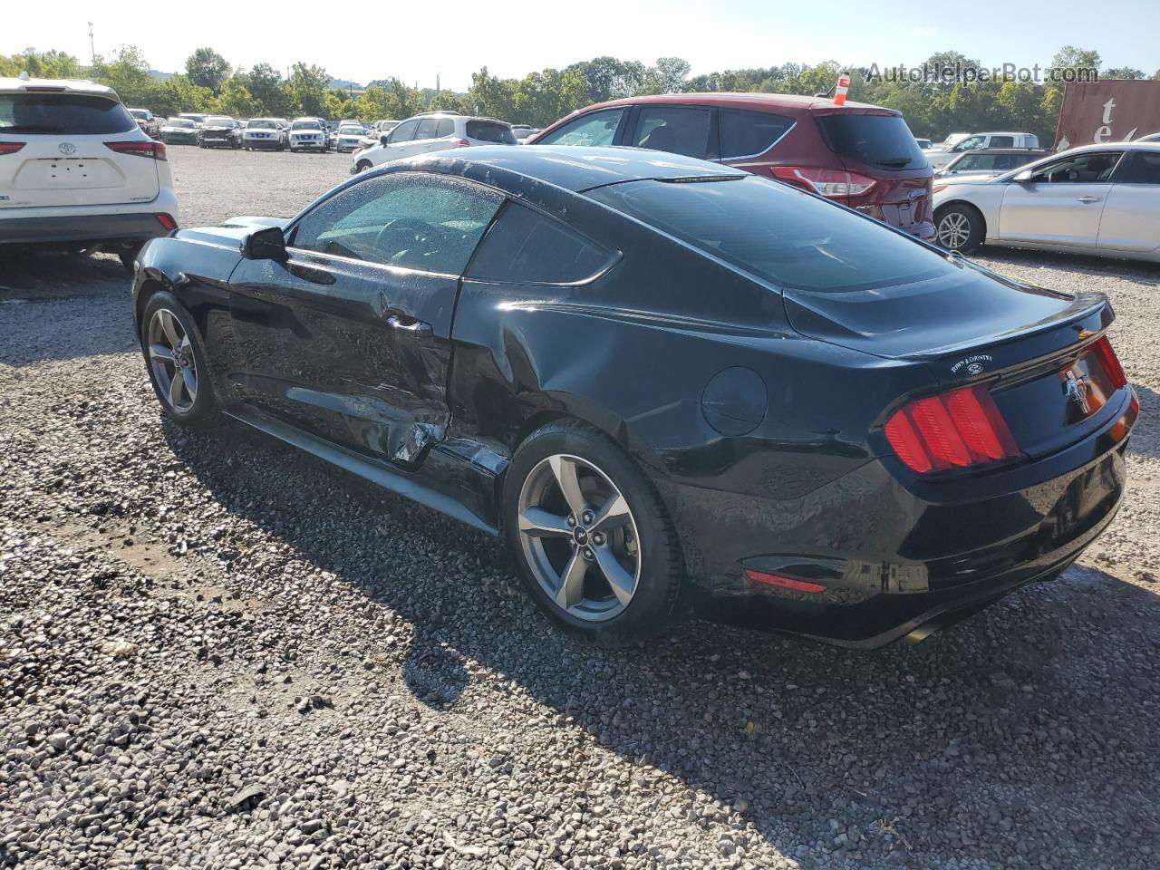 2016 Ford Mustang  Черный vin: 1FA6P8AM5G5296318