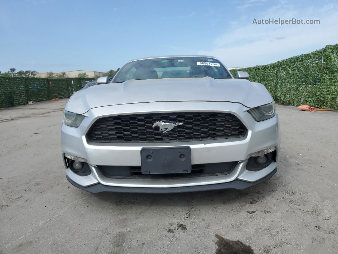 2016 Ford Mustang  Silver vin: 1FA6P8AM6G5217965