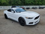 2015 Ford Mustang  White vin: 1FA6P8AM7F5302456