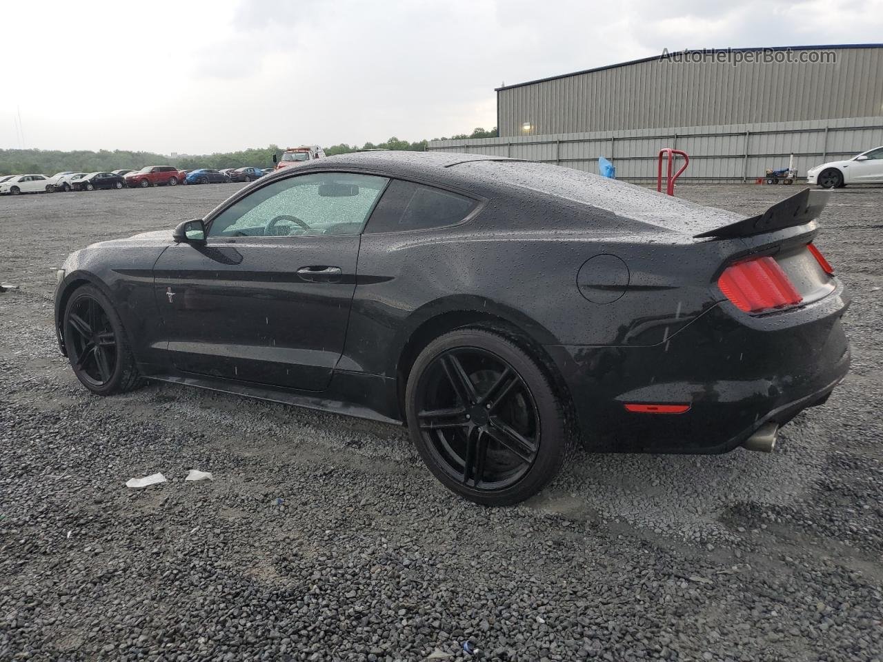2016 Ford Mustang  Black vin: 1FA6P8AM7G5291881