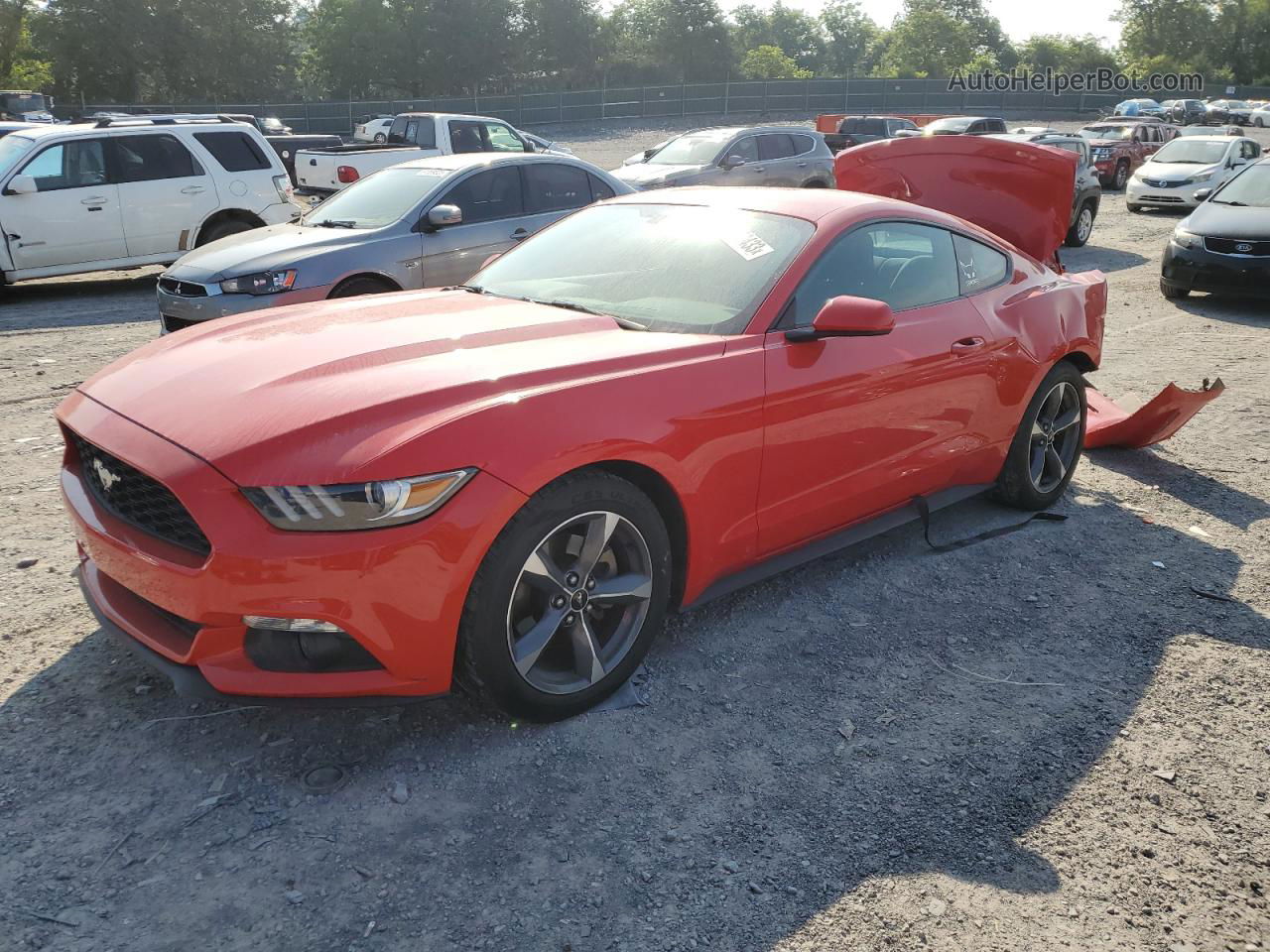 2015 Ford Mustang  Red vin: 1FA6P8AM8F5300747