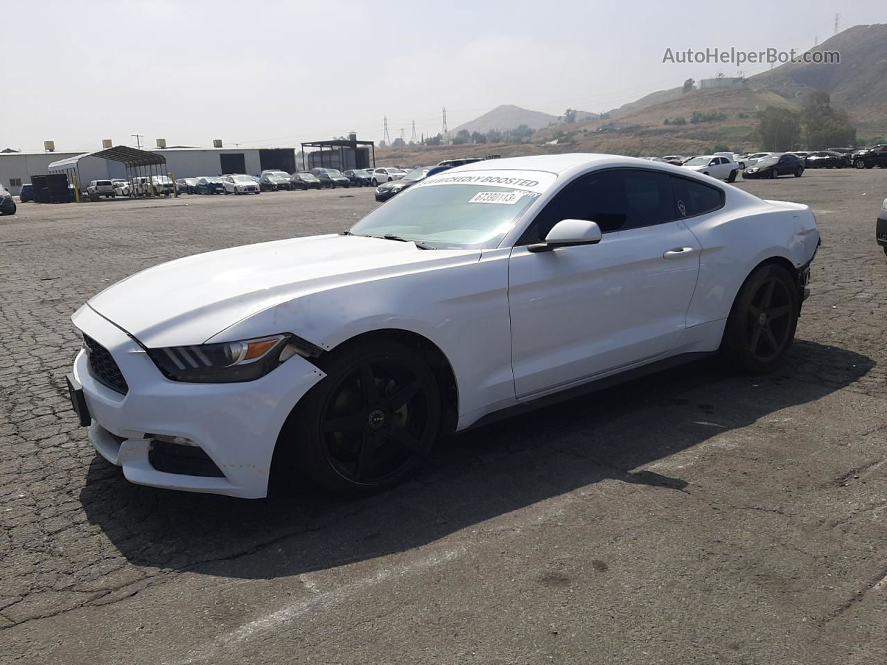 2016 Ford Mustang  White vin: 1FA6P8AM8G5303326
