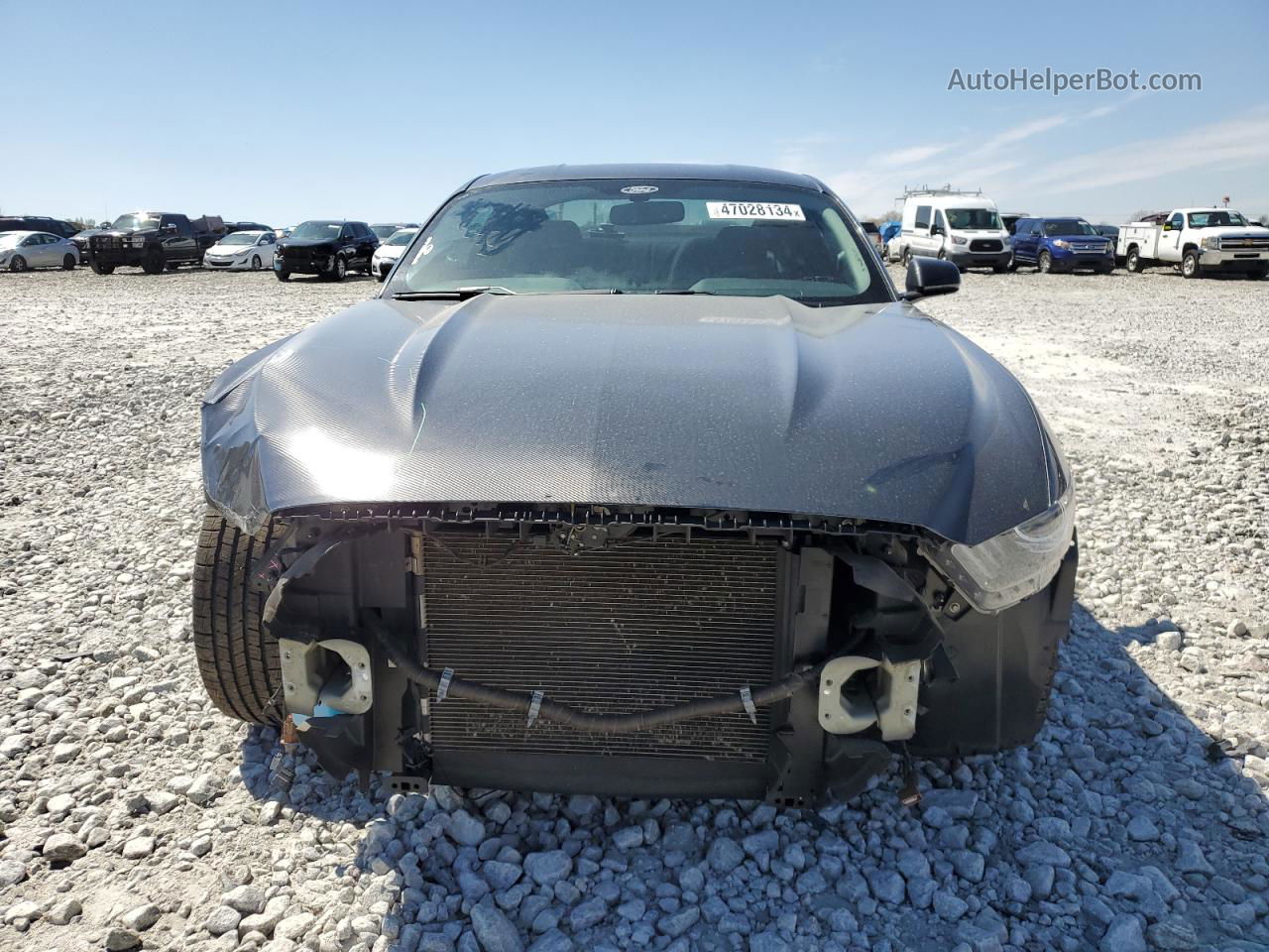 2016 Ford Mustang  Gray vin: 1FA6P8AM9G5223873