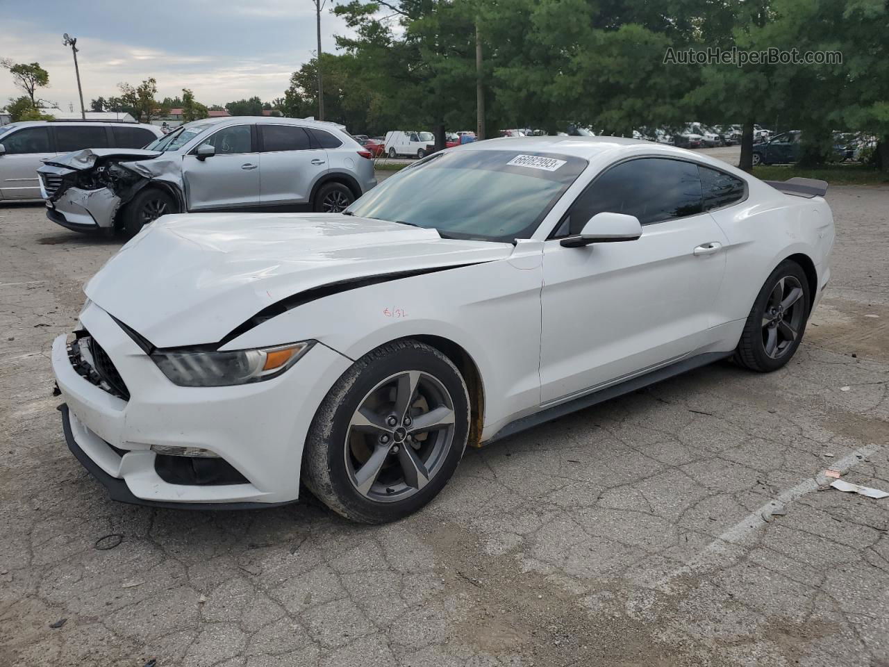 2015 Ford Mustang  White vin: 1FA6P8AMXF5337461