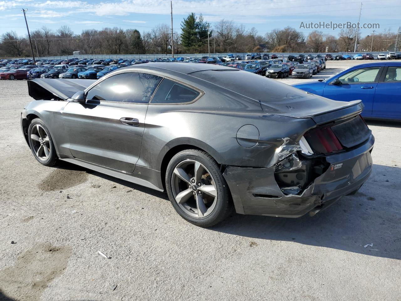 2016 Ford Mustang  Серый vin: 1FA6P8AMXG5232534