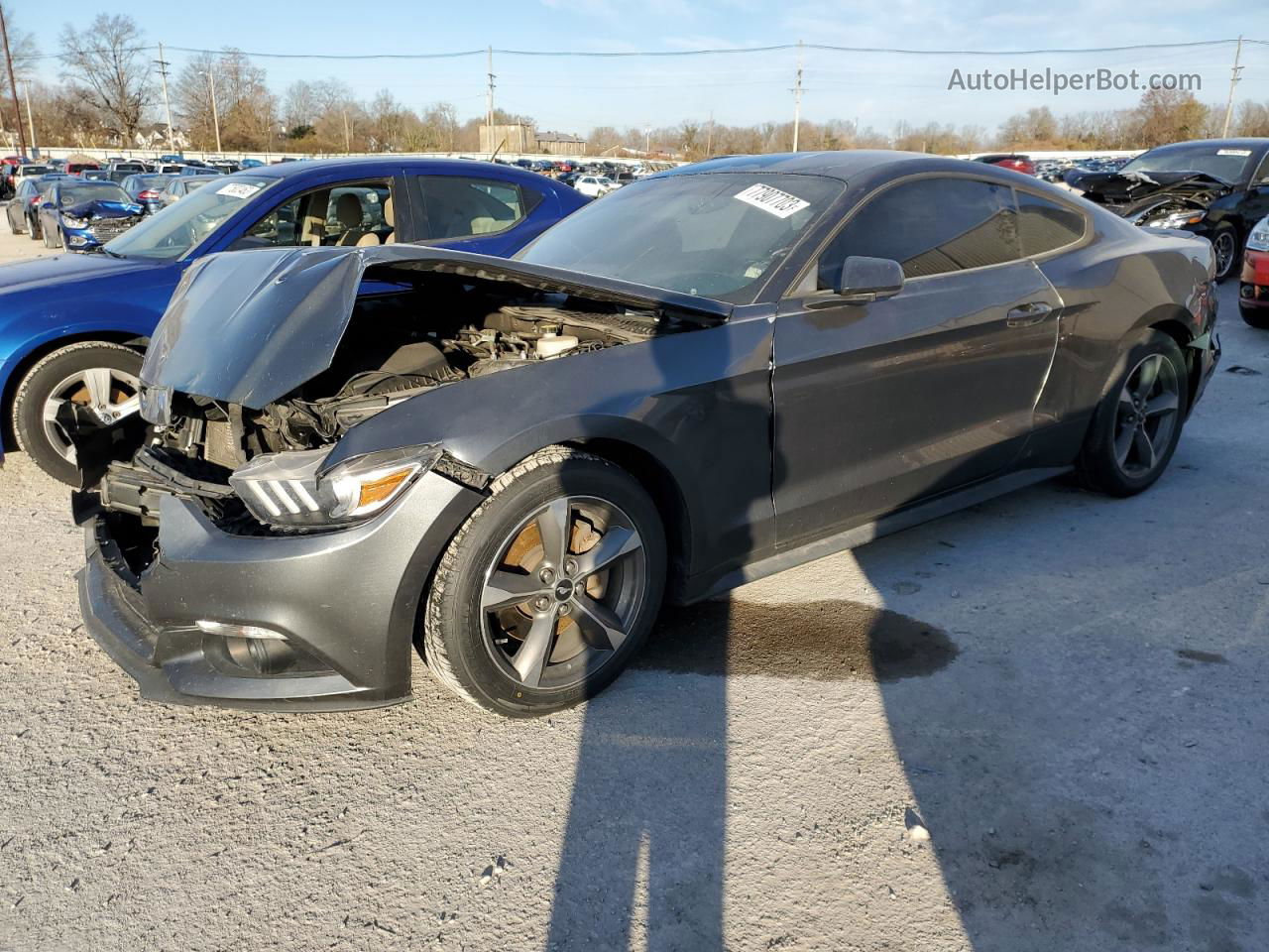 2016 Ford Mustang  Серый vin: 1FA6P8AMXG5232534