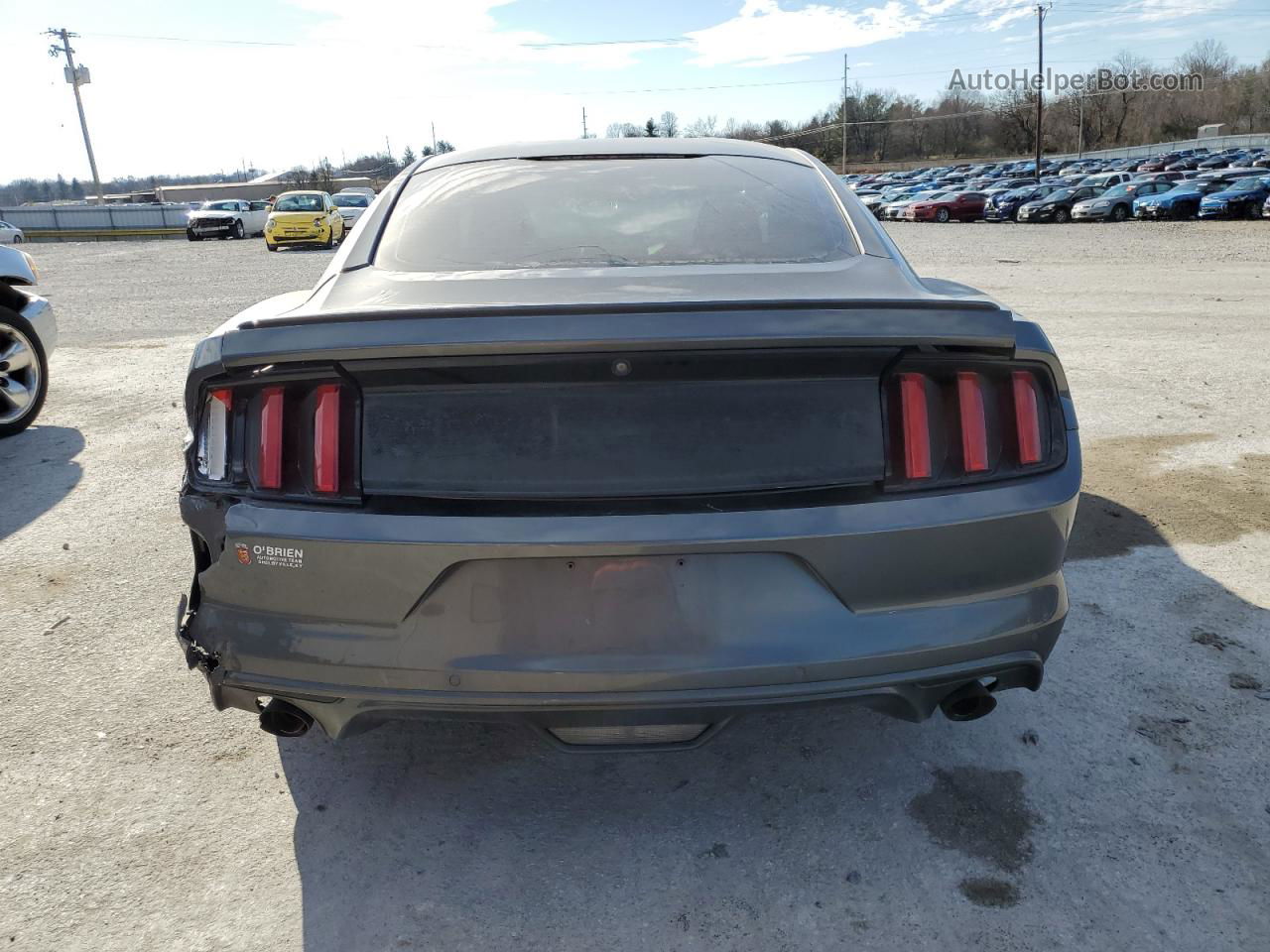 2016 Ford Mustang  Gray vin: 1FA6P8AMXG5232534