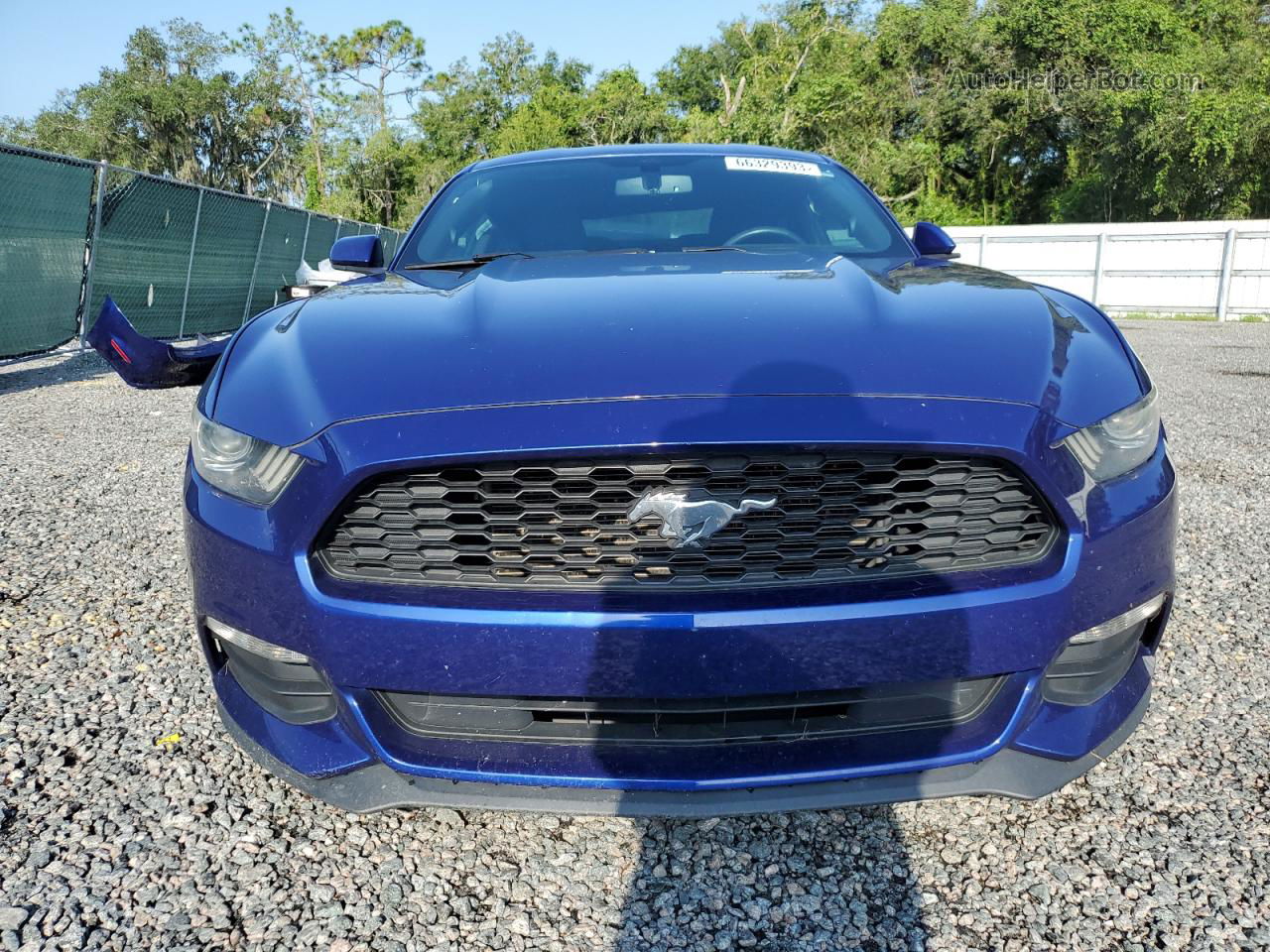 2016 Ford Mustang  Blue vin: 1FA6P8AMXG5255568