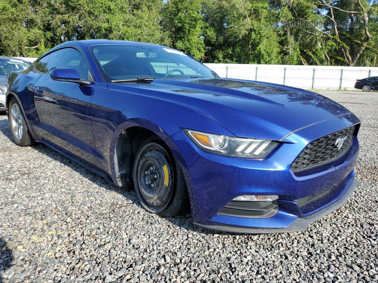 2016 Ford Mustang  Blue vin: 1FA6P8AMXG5255568