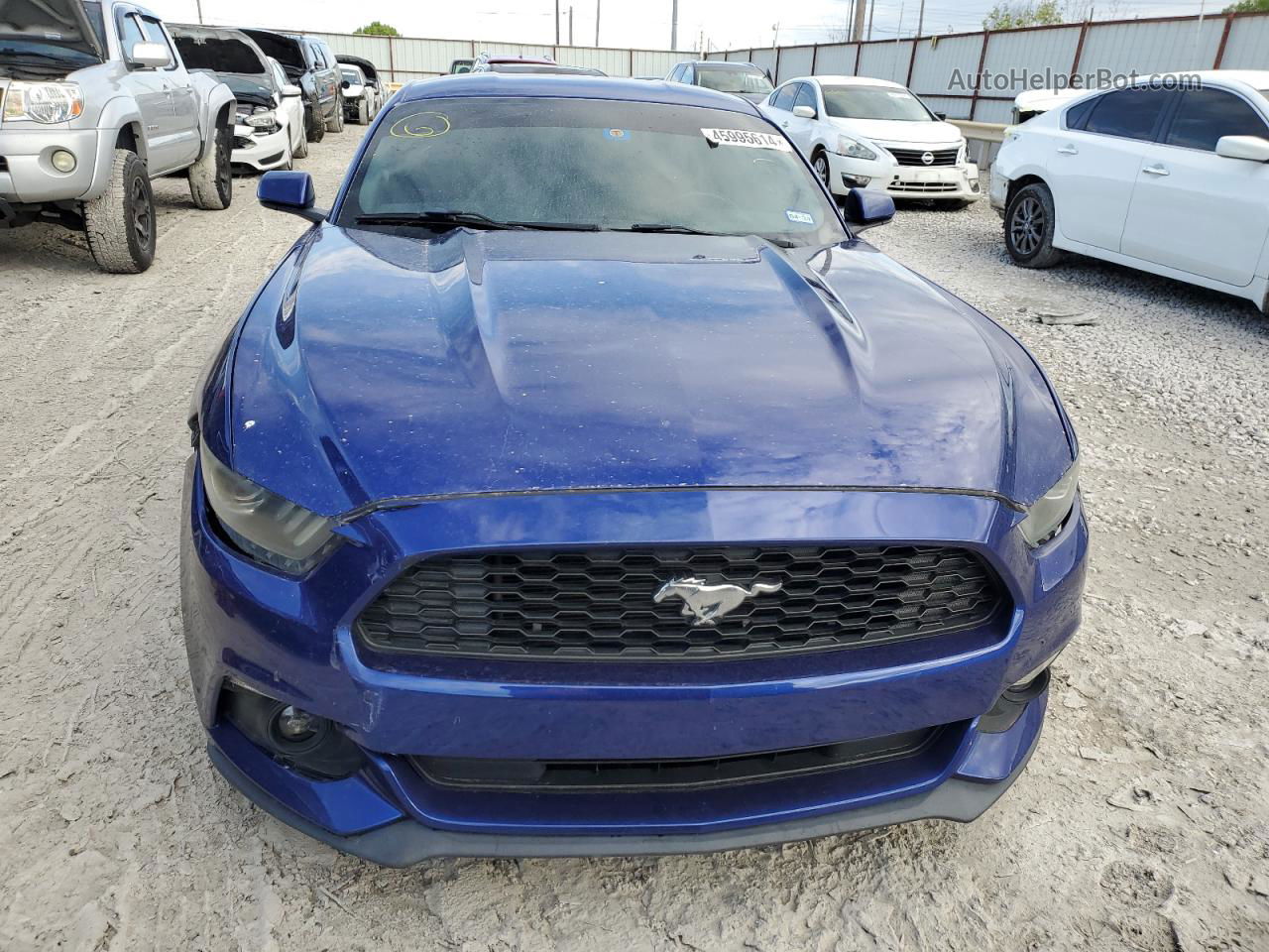 2016 Ford Mustang  Blue vin: 1FA6P8AMXG5327529