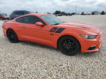 2015 Ford Mustang Gt Orange vin: 1FA6P8CF0F5300904