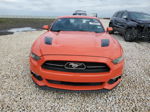 2015 Ford Mustang Gt Orange vin: 1FA6P8CF0F5300904