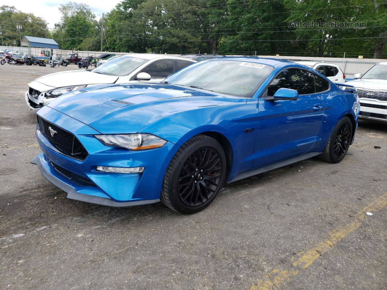 Price & History 2019 Ford Mustang Gt 5.0l 8 vin
