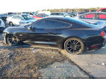 2015 Ford Mustang Gt Premium Black vin: 1FA6P8CF1F5346497