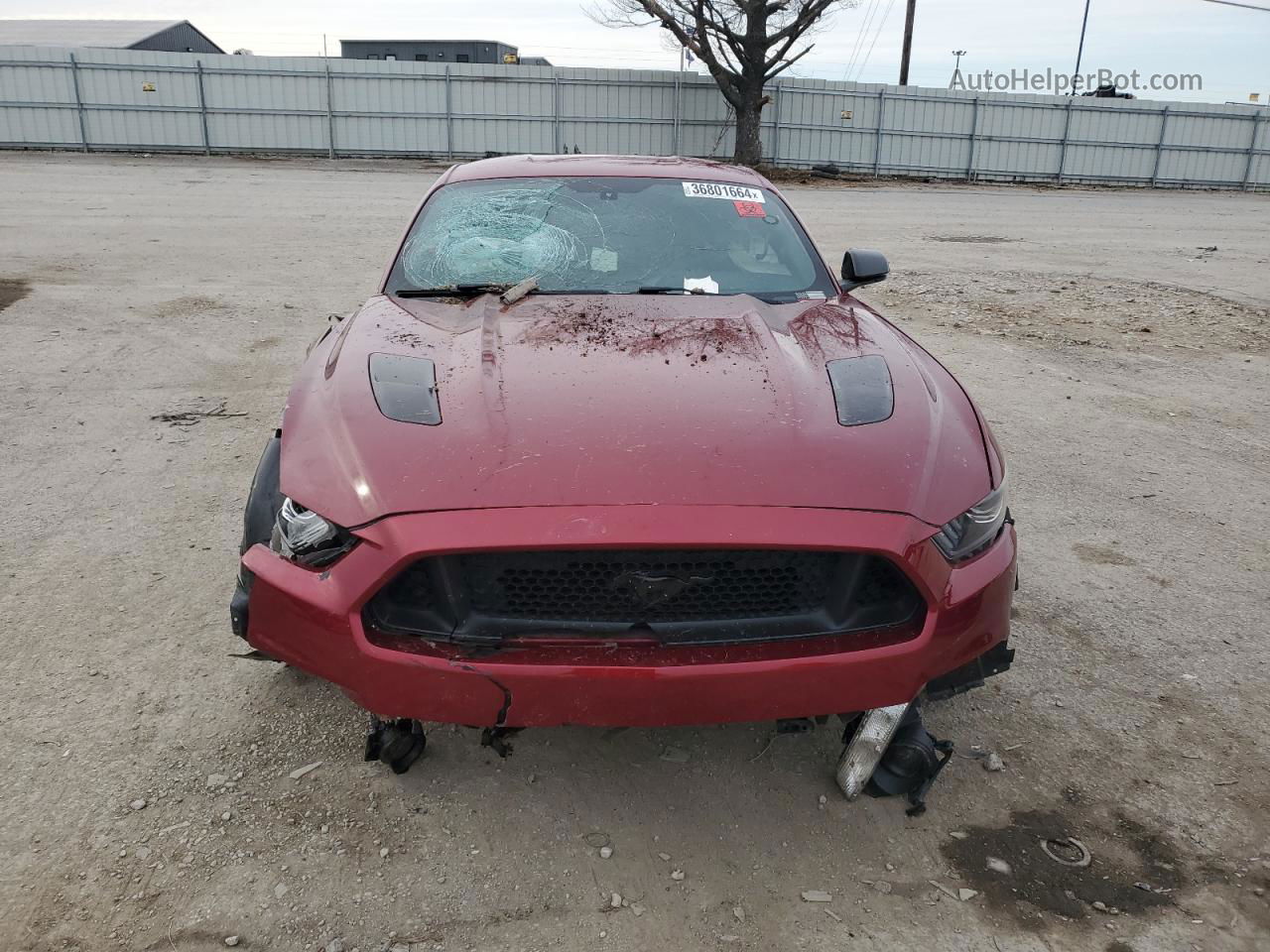 2016 Ford Mustang Gt Red vin: 1FA6P8CF1G5276971