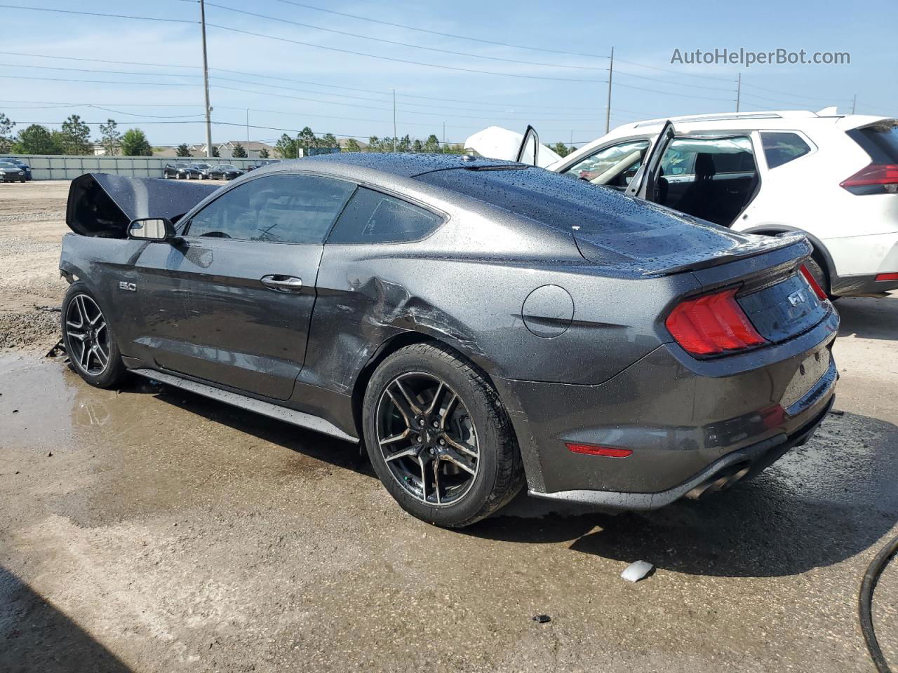 2019 Ford Mustang Gt Серый vin: 1FA6P8CF1K5192917