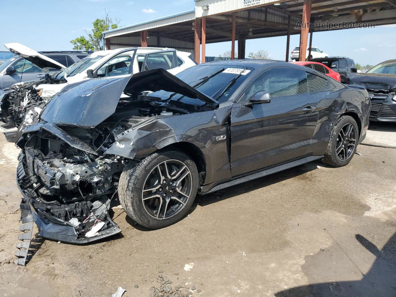 2019 Ford Mustang Gt Серый vin: 1FA6P8CF1K5192917