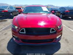 2016 Ford Mustang Gt Red vin: 1FA6P8CF2G5256969