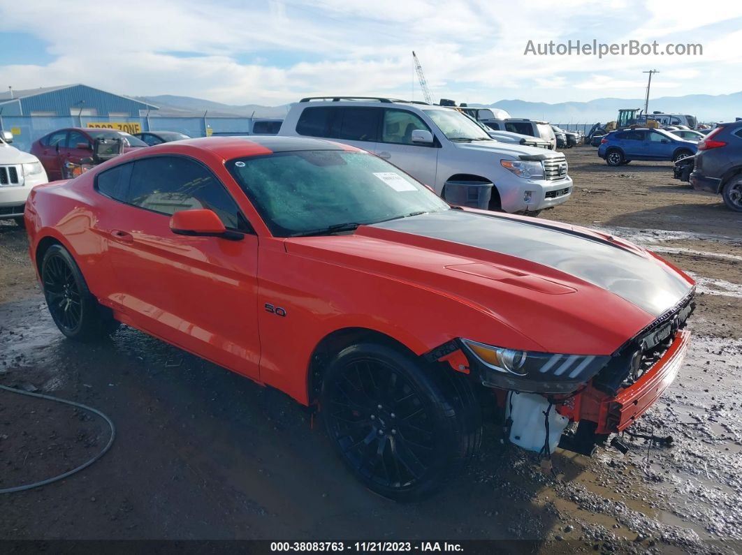 2015 Ford Mustang Gt Premium Orange vin: 1FA6P8CF3F5333119