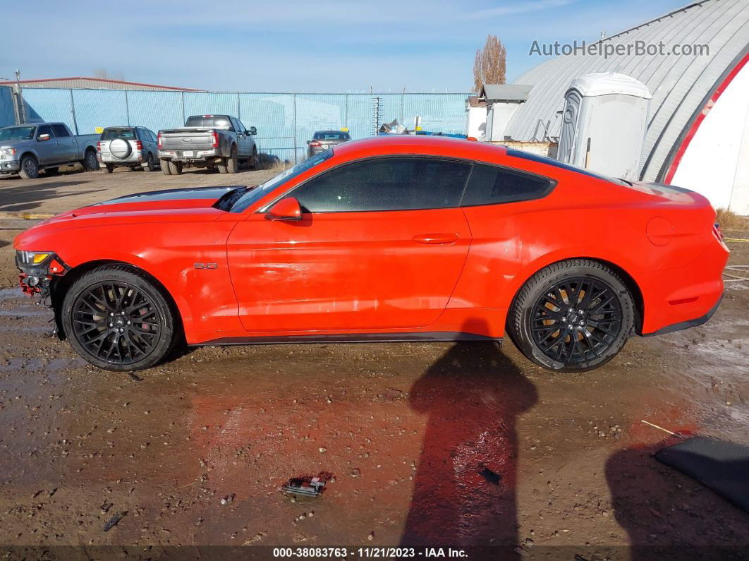 2015 Ford Mustang Gt Premium Orange vin: 1FA6P8CF3F5333119