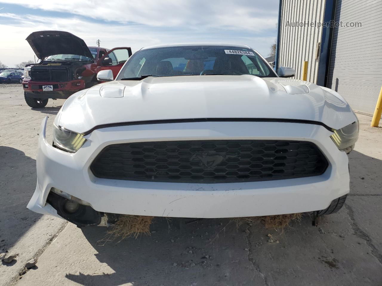 2016 Ford Mustang Gt White vin: 1FA6P8CF3G5274414