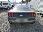 2016 Ford Mustang Gt Gray vin: 1FA6P8CF4G5223553