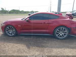 2015 Ford Mustang Gt Premium Red vin: 1FA6P8CF5F5305998