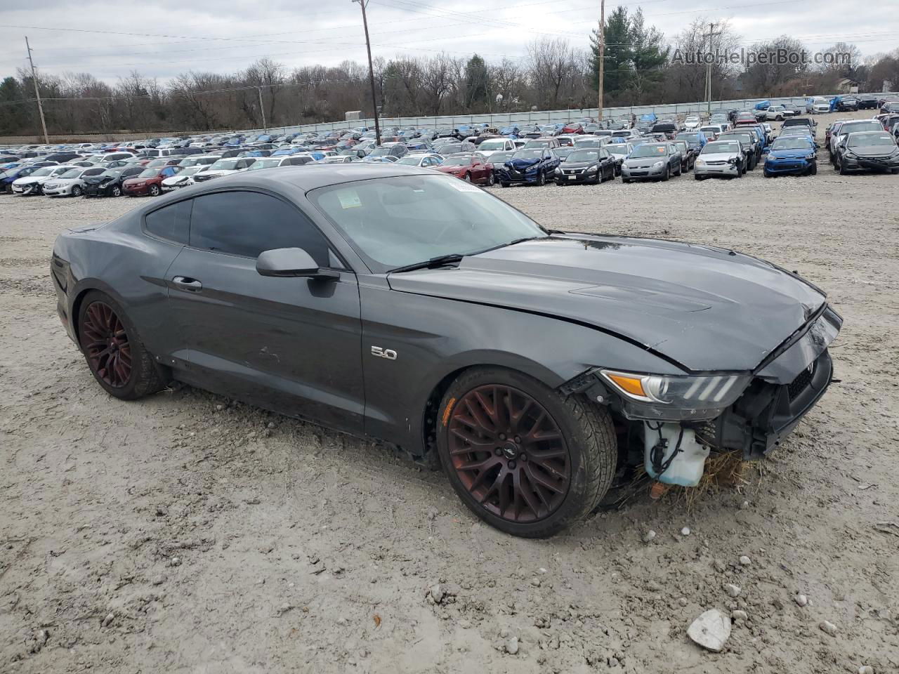 2015 Ford Mustang Gt Gray vin: 1FA6P8CF5F5339097