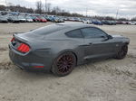 2015 Ford Mustang Gt Gray vin: 1FA6P8CF5F5339097