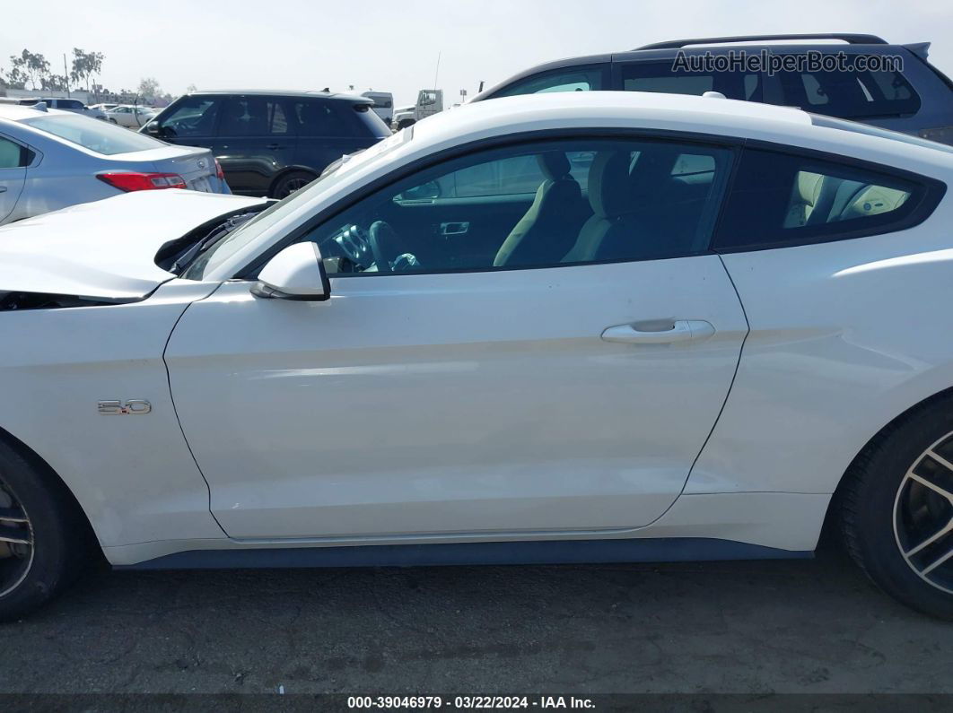 2019 Ford Mustang Gt White vin: 1FA6P8CF6K5118733