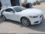 2015 Ford Mustang Gt Premium White vin: 1FA6P8CF7F5399964