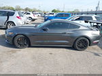 2015 Ford Mustang Gt Gray vin: 1FA6P8CF7F5434177