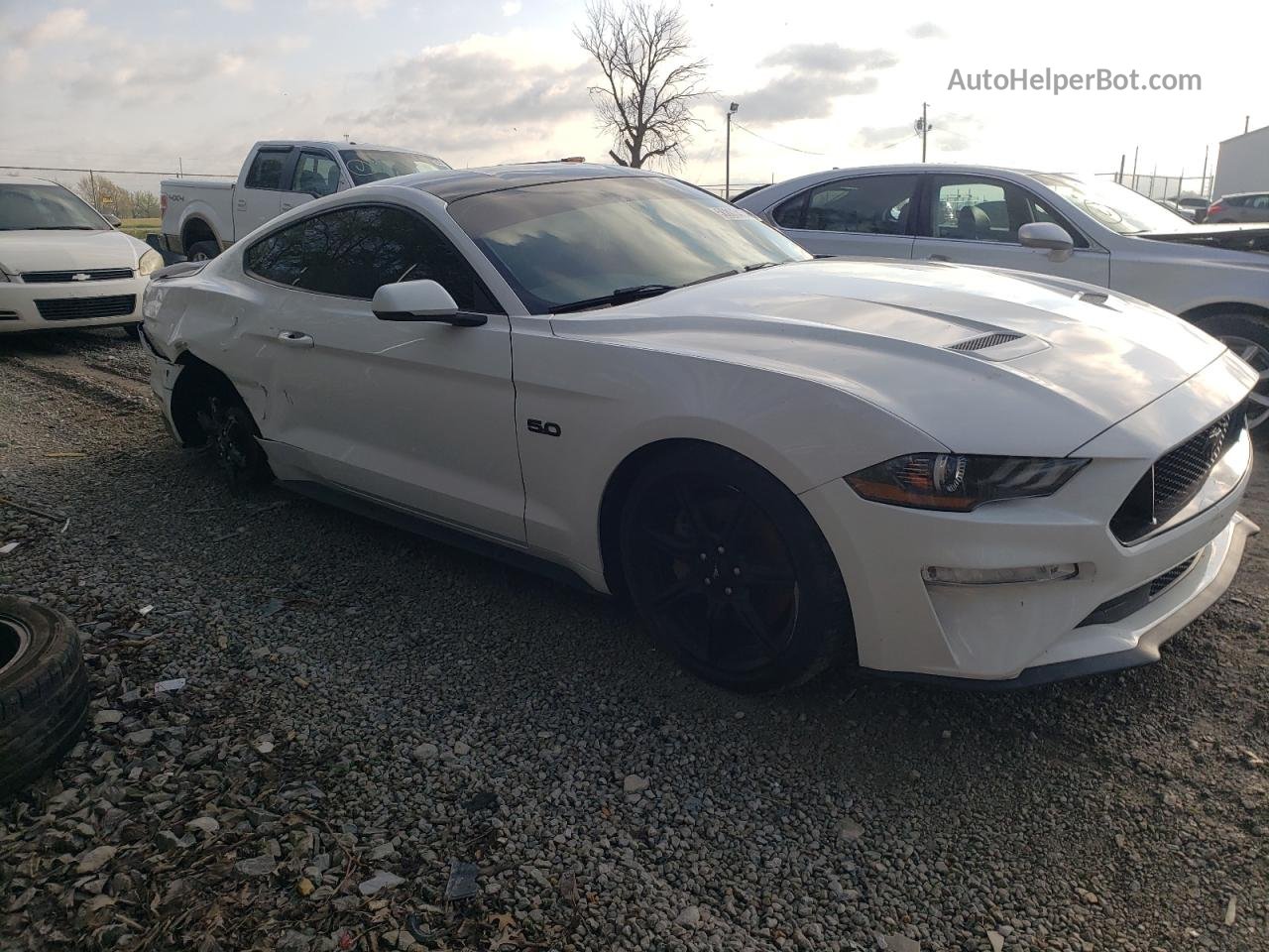 2019 Ford Mustang Gt White vin: 1FA6P8CF8K5177332