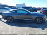 2020 Ford Mustang Gt Fastback Gray vin: 1FA6P8CF8L5113972